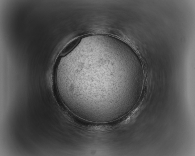 X0000093110103200710101029