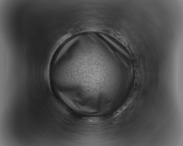 X0000093110104200710101029