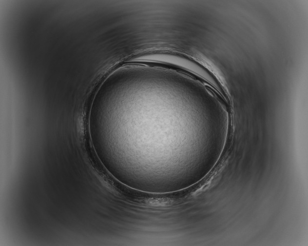 X0000093110105200710101029