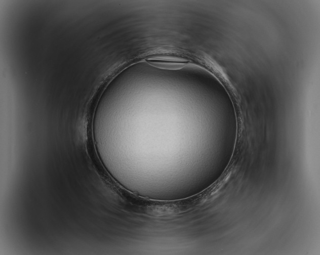 X0000093110106200710101029