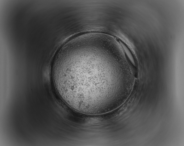 X0000093110107200710101029