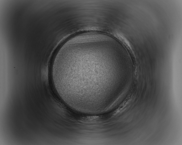 X0000093110108200710101029