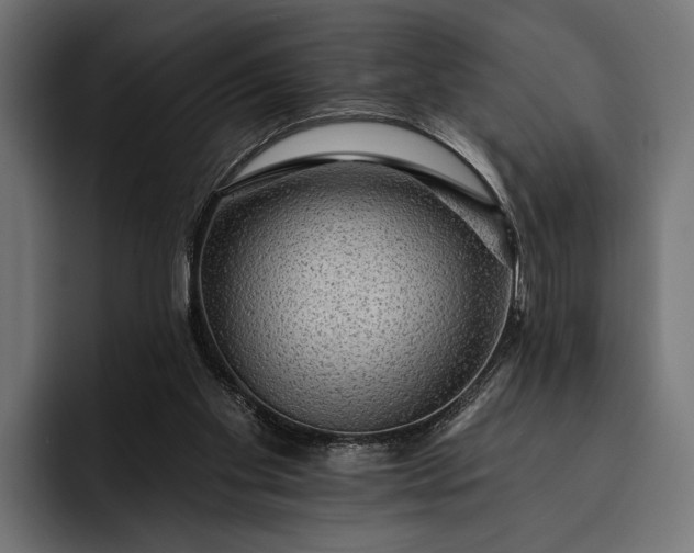 X0000093110109200710101029