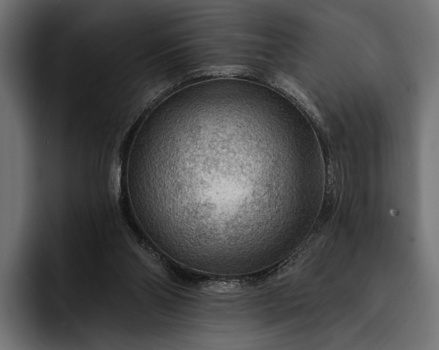 X0000093110110200710101029