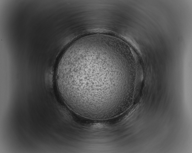 X0000093110111200710101029