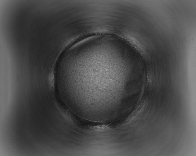 X0000093110112200710101029