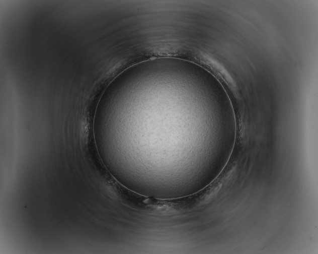 X0000093110113200710101029