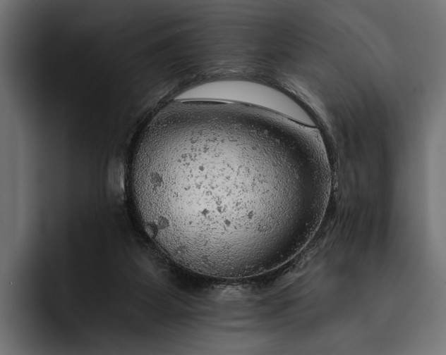 X0000093110115200710101029