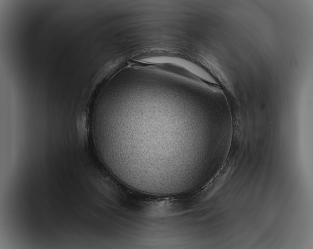 X0000093110116200710101029