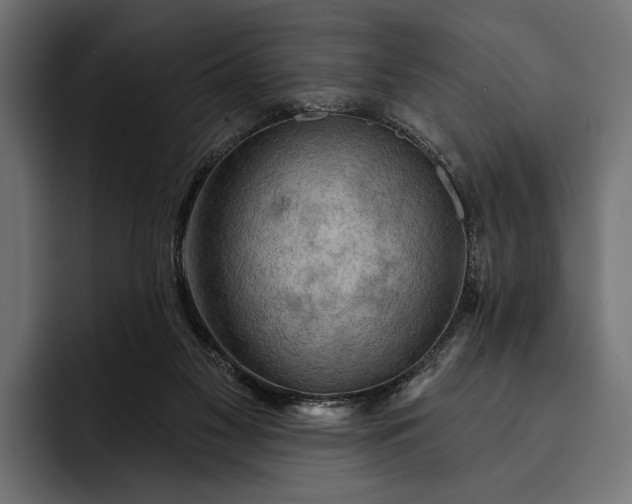 X0000093110117200710101029