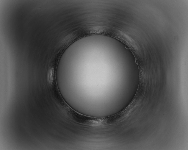 X0000093110118200710101029