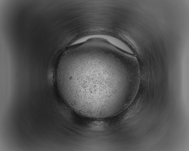 X0000093110119200710101029