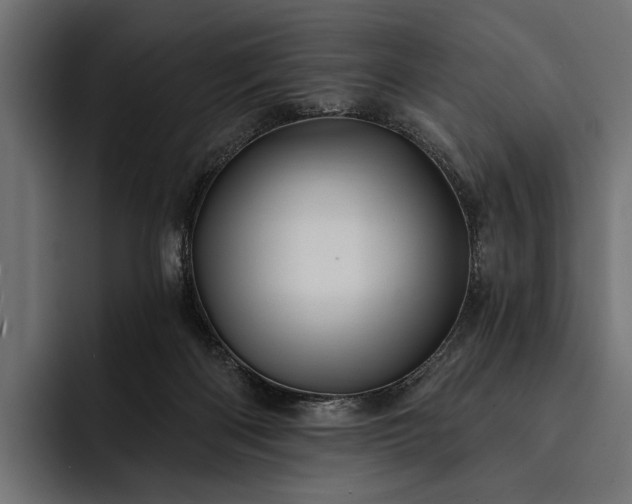 X0000093110122200710101029