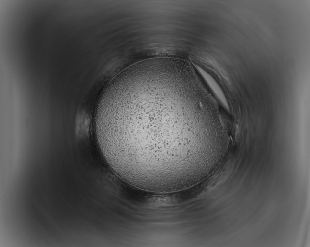 X0000093110123200710101029