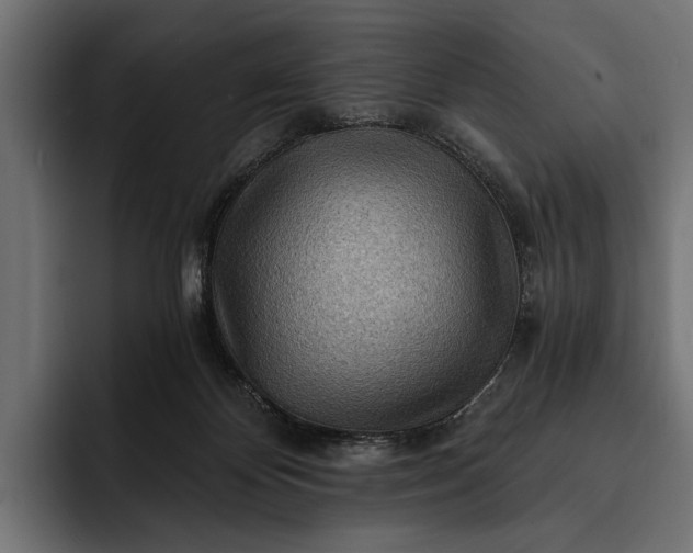 X0000093110124200710101029