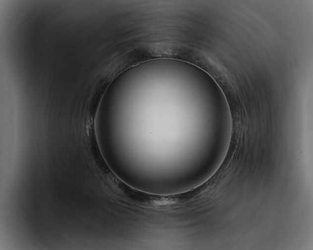 X0000093110125200710101029