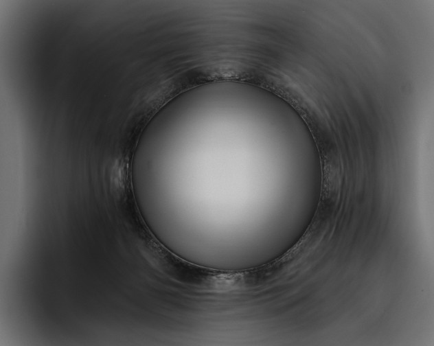 X0000093110126200710101029