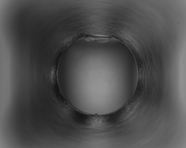 X0000093110127200710101029