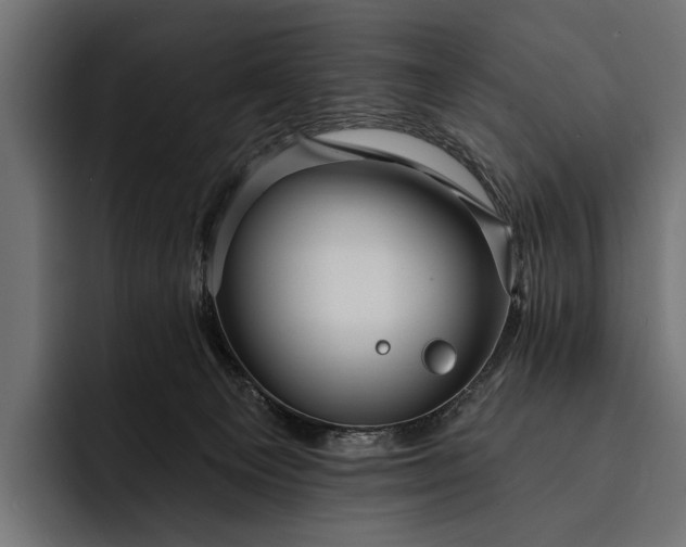 X0000093110129200710101029