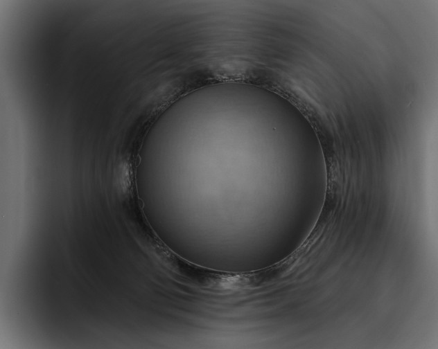 X0000093110130200710101029