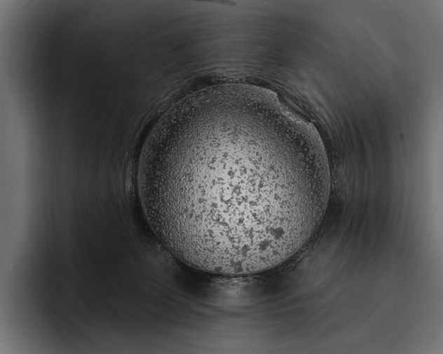 X0000093110131200710101029