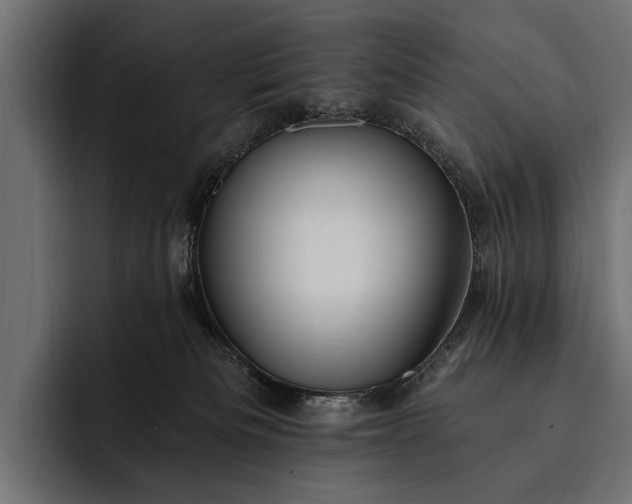 X0000093110133200710101028