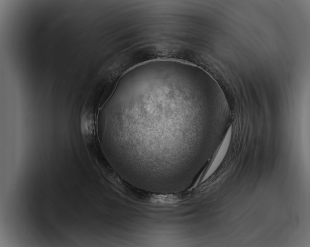 X0000093110137200710101028