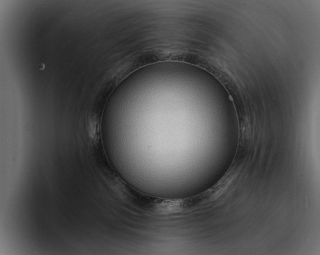 X0000093110138200710101028