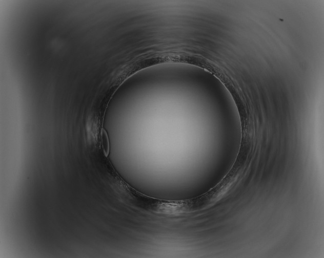 X0000093110139200710101028