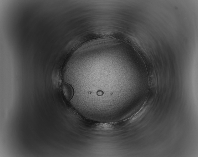 X0000093110140200710101028