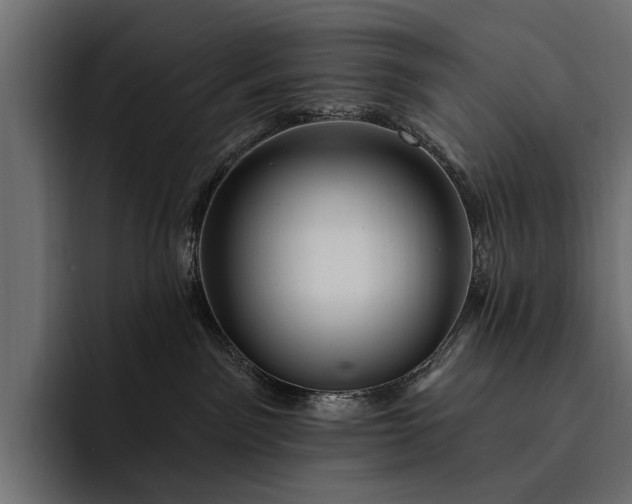 X0000093110141200710101028