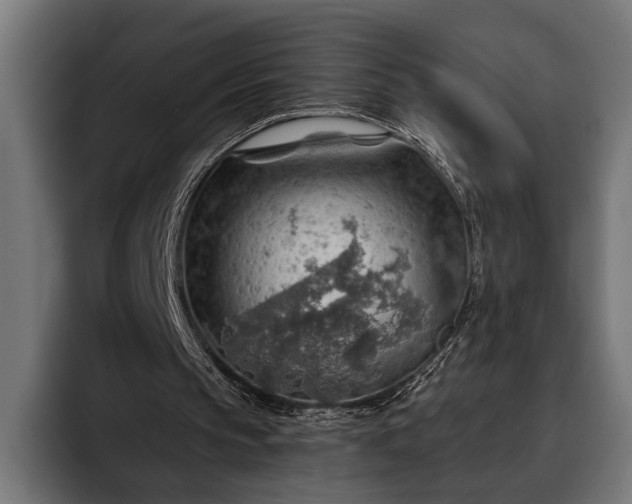 X0000093110145200710101028