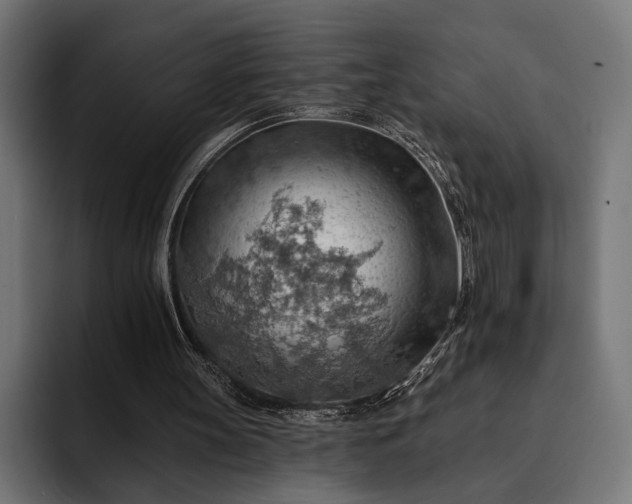 X0000093110147200710101028