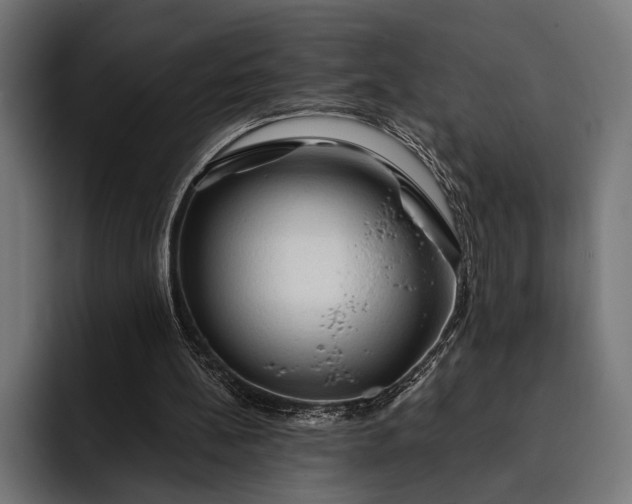 X0000093110148200710101028