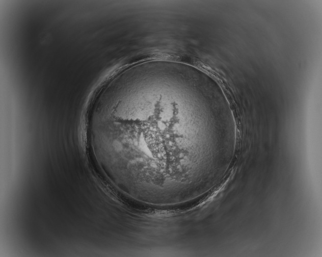 X0000093110149200710101028