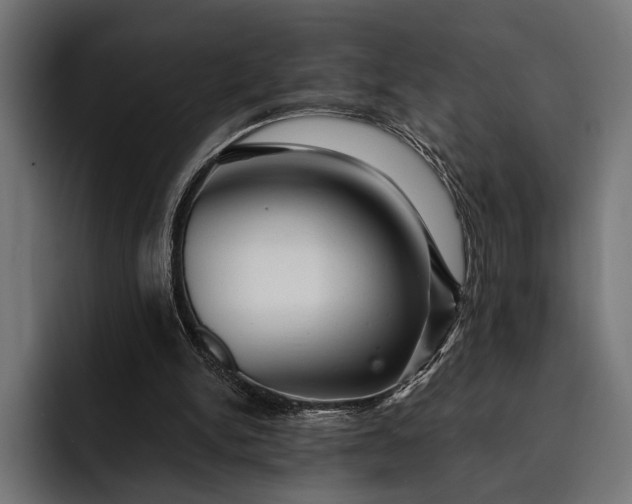 X0000093110150200710101028