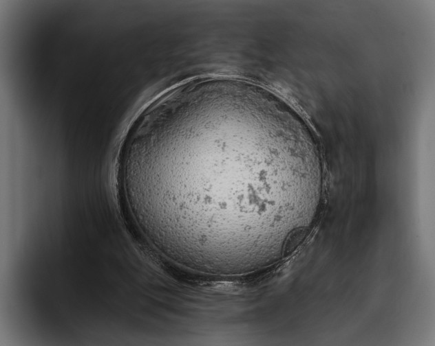 X0000093110151200710101028