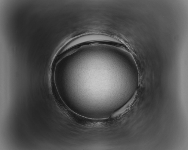 X0000093110152200710101028