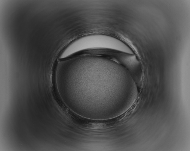 X0000093110154200710101028