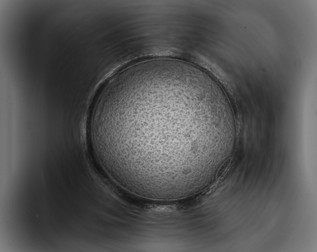 X0000093110155200710101028