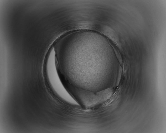 X0000093110156200710101028