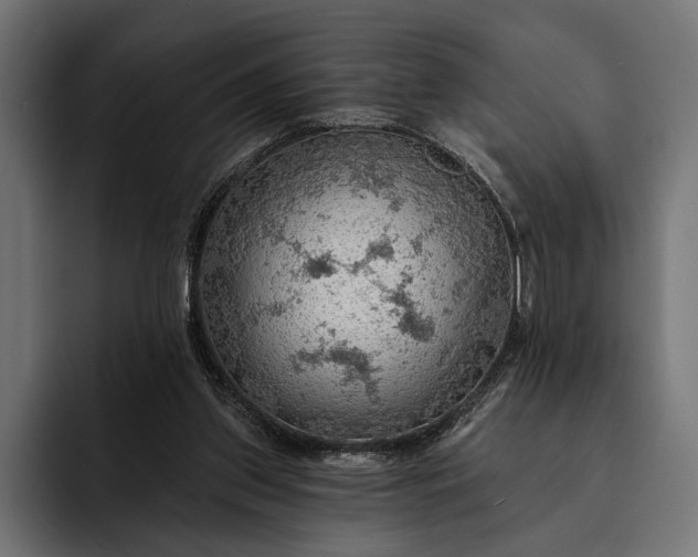 X0000093110157200710101028