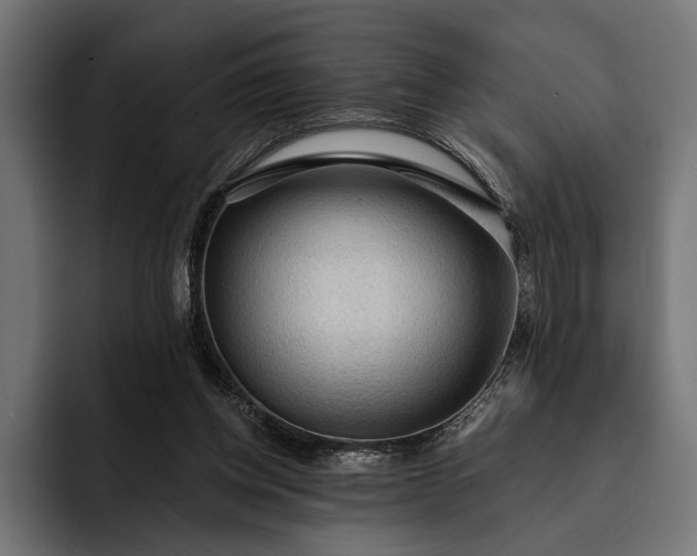 X0000093110158200710101028