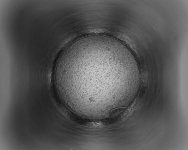 X0000093110159200710101028