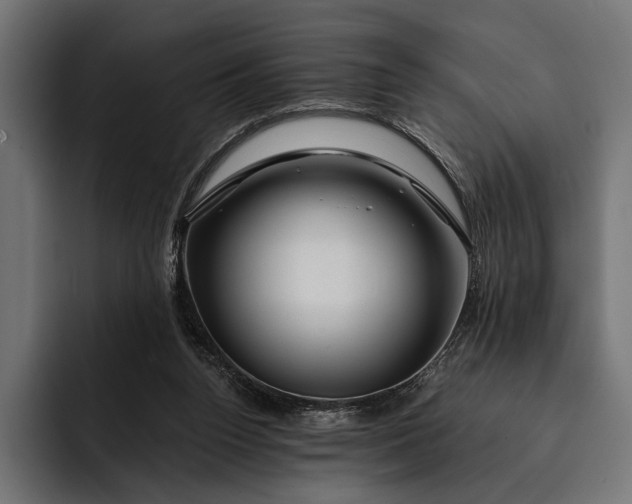 X0000093110160200710101028