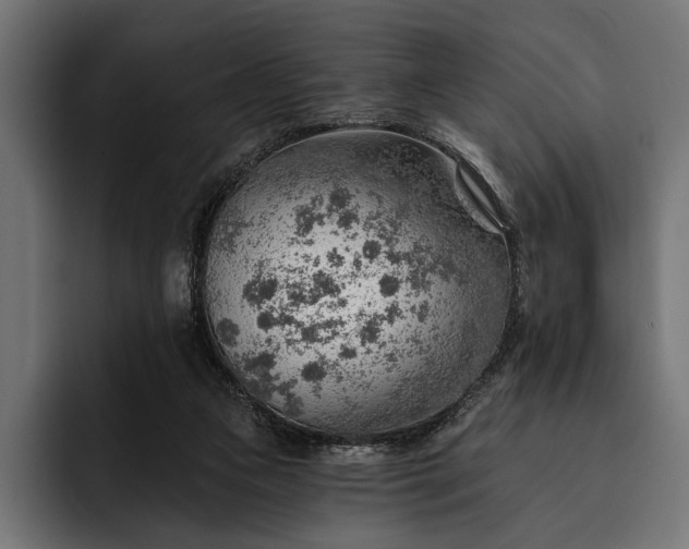 X0000093110161200710101028