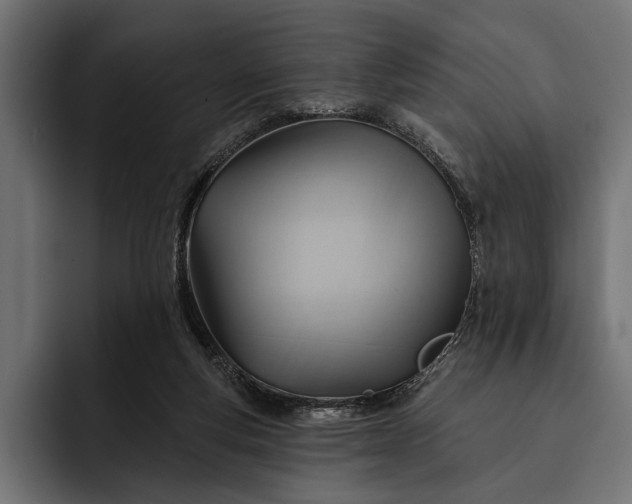 X0000093110163200710101028