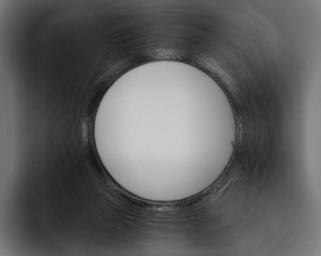 X0000093110165200710101028