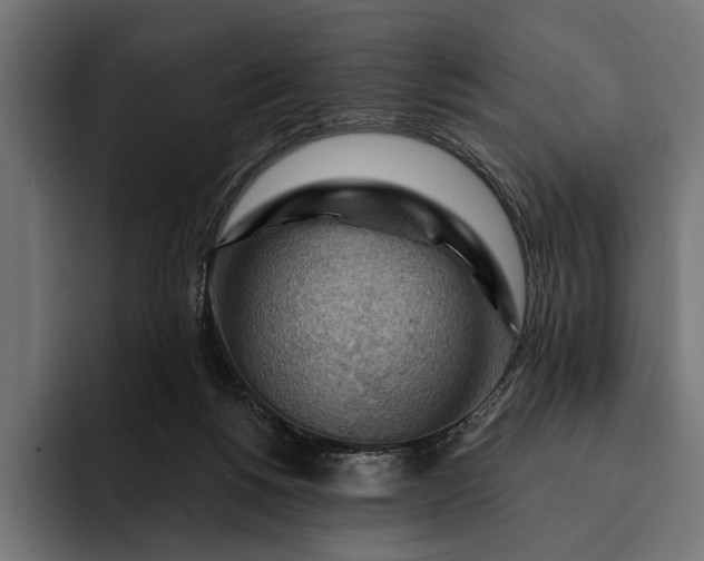 X0000093110168200710101028