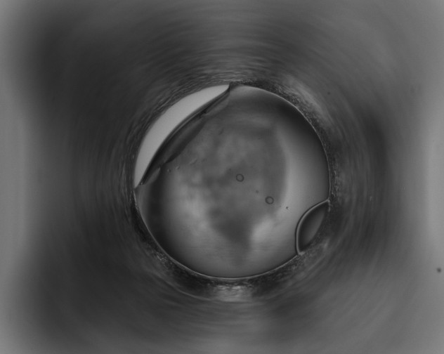 X0000093110169200710101028